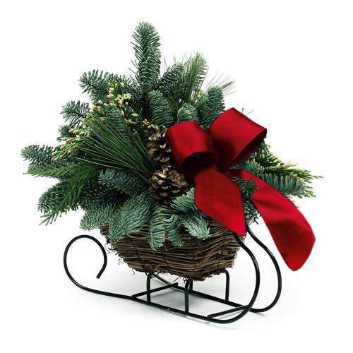 Van Zyverden Live Fresh Cut Pacific Northwest Holiday Sleigh Centerpiece, Green