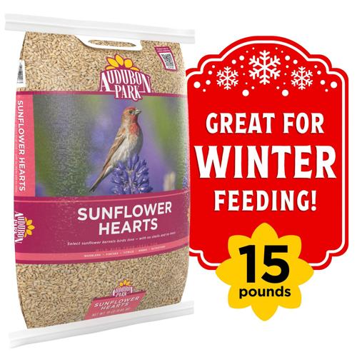 Audubon Park Sunflower Hearts Wild Bird Food, 15 lbs.