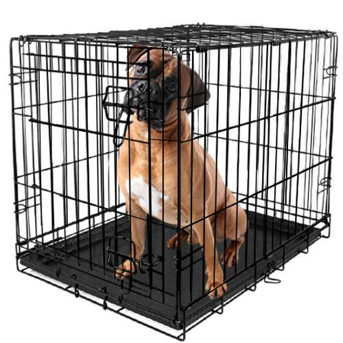 Vibrant Life, Single-Door Folding Dog Crate with Divider, XX-Large, 48